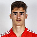 Pereira de Albuquerque Tavares